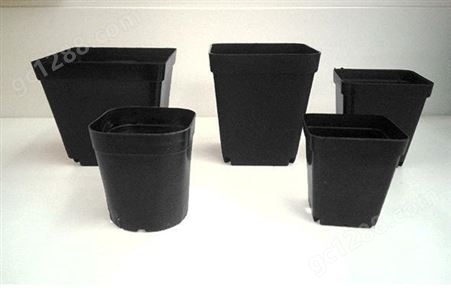 10x10小黑方 多肉植物花盆 塑料花盆