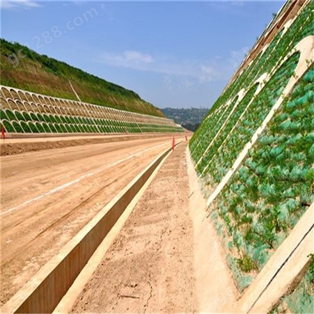 绿化生态袋 护坡固土 植生袋 草种 量大价优
