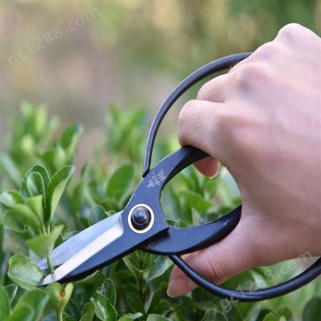 盆景修剪小枝切剪  小枝切剪厂家  刀口锋利、持久好用、防滑手柄