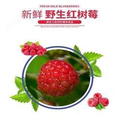 莓文化红树莓浓缩汁 销售批发红树莓冲饮汁 660g树莓果汁饮品