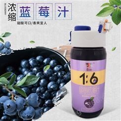 莓文化牌浓缩蓝莓汁 瓶装饮品 蓝莓果汁660g瓶装批发