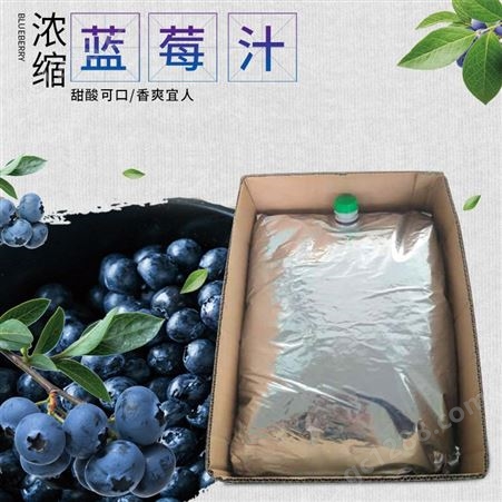 花青健蓝莓浓缩汁 25kg袋装浓缩果汁 蓝莓饮品原材料 源头工厂