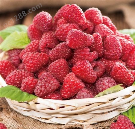 莓文化美味健康红树莓浓缩果汁 健康美味果蔬汁 660g树莓汁饮品