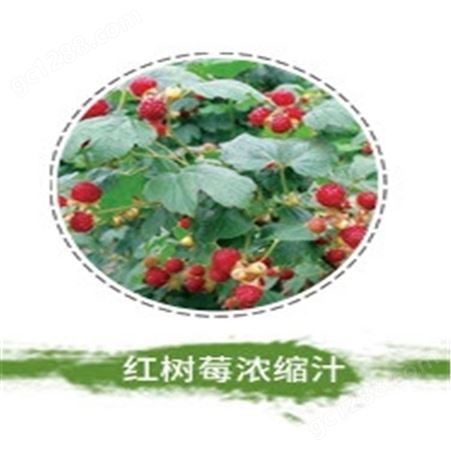 花青健牌红树莓浓缩果汁 黑龙江红树莓浓缩汁 新品无菌袋包装