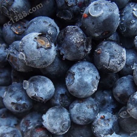 花青健蓝莓浓缩汁 25kg袋装浓缩果汁 蓝莓饮品原材料 源头工厂