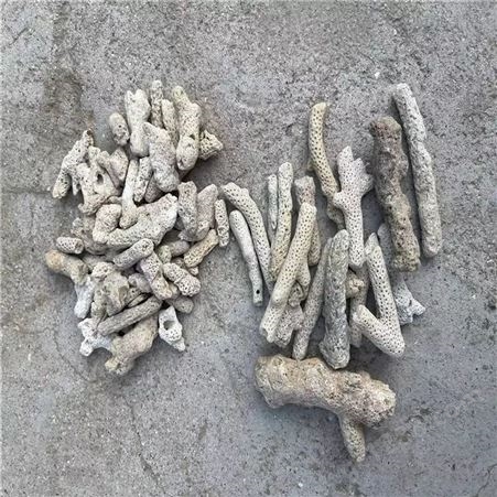 多孔珊瑚骨 水族鱼缸鱼池海洋馆过滤材料用优质珊瑚砂