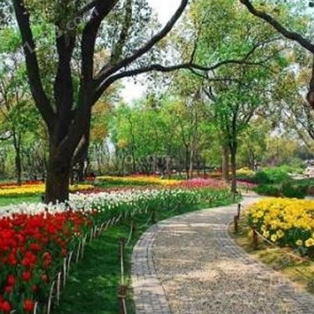武汉绿化工程设计 孝感园林绿化价格 随州园林绿化企业 润泽蔚来 b000230