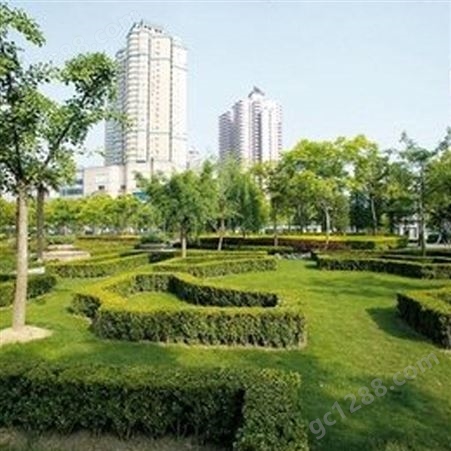 武汉园林绿化工程价格 孝感道路园林景观设计 随州园林景观绿化设计 润泽蔚来 b000375