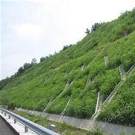 咸宁绿化养护工程 鄂州城市园林绿化 武汉绿化养护费用 润泽蔚来
