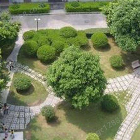 武汉绿化工程公司 园林绿化工程公司 小区绿化养护 润泽蔚来 b000302