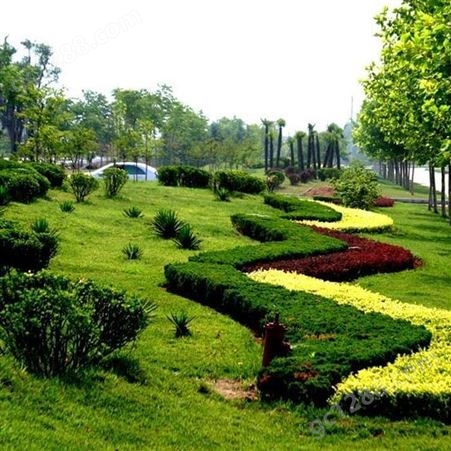 武汉园林绿化工程价格 孝感道路园林景观设计 随州园林景观绿化设计 润泽蔚来 b000375