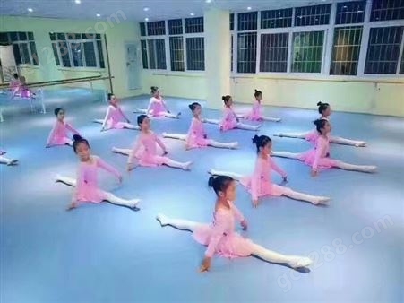 早教地胶 芭蕾体操舞蹈教室地胶 pvc防滑塑胶舞蹈地板