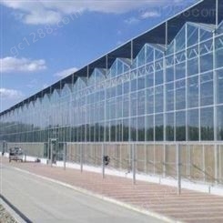承建连栋温室大棚工程 钢结构大棚 智能玻璃蔬菜大棚